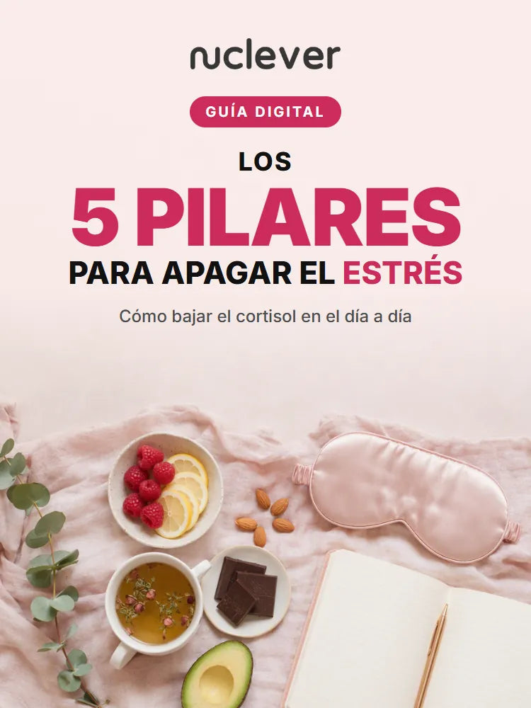 Tapa de la guía digital 5 pilares para apagar el estrés